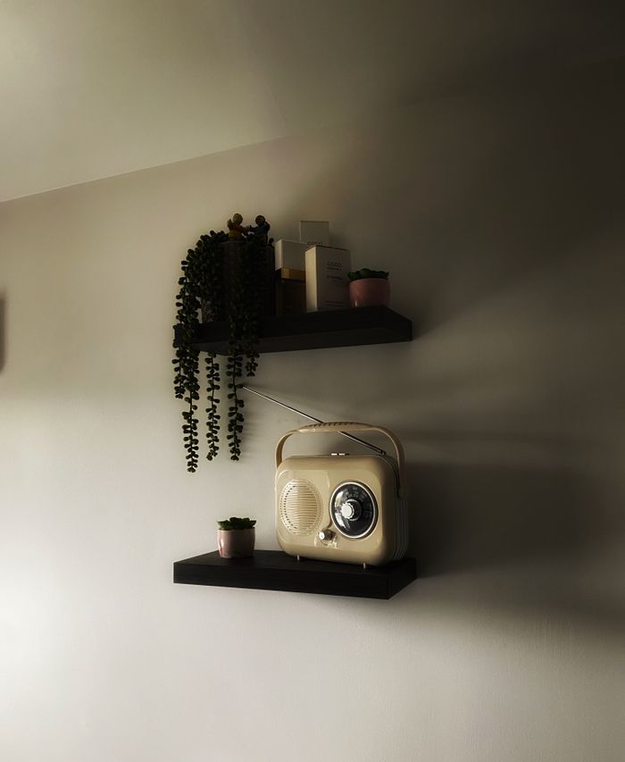 expertise-01 A classic vintage radio on minimalist shelves with potted plants providing a cozy interior vibe.